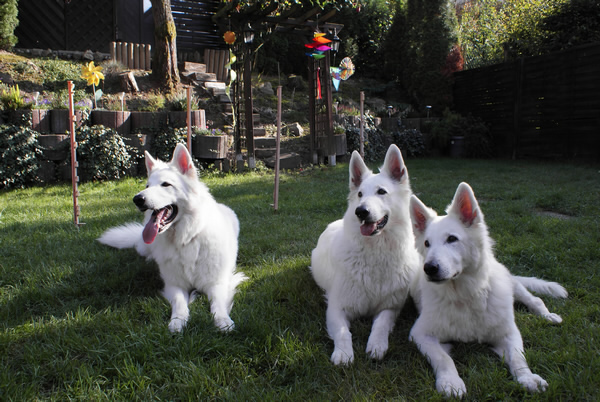 Meucci, Coralie & Keona